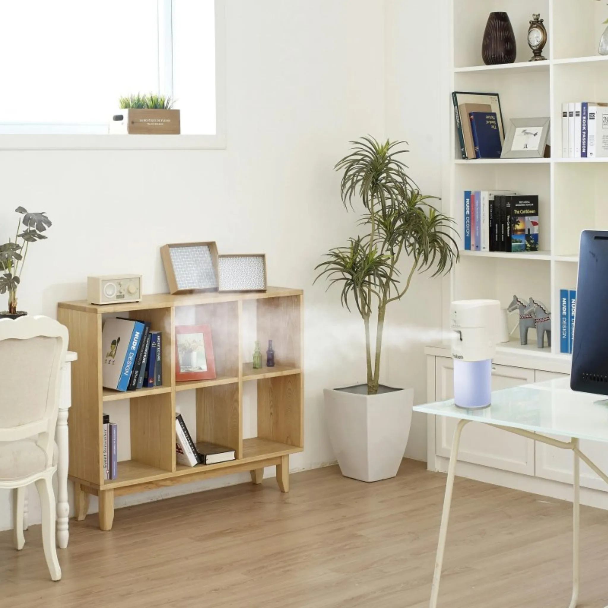 Dispensador Automático Preben - Masso - Image 3