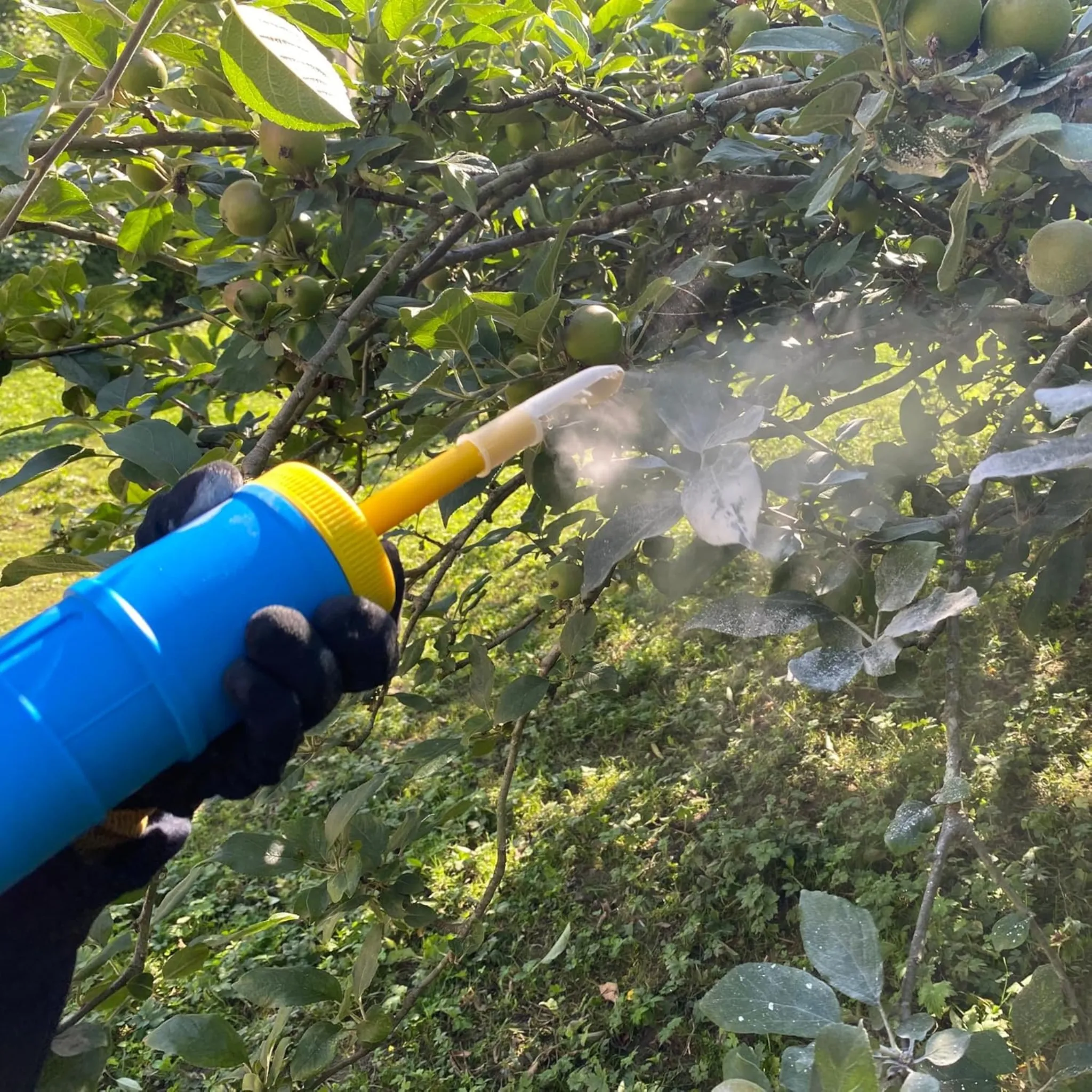 Espolvoreador Bazoca 750 gr - Matabi - Image 4