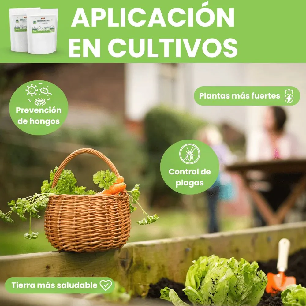 Tierra Diatomeas Micronizada - Remi Hogar - Image 7