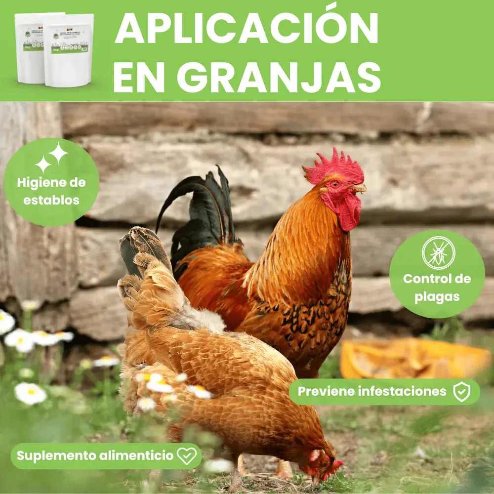 Tierra Diatomeas Micronizada - Remi Hogar - Image 8