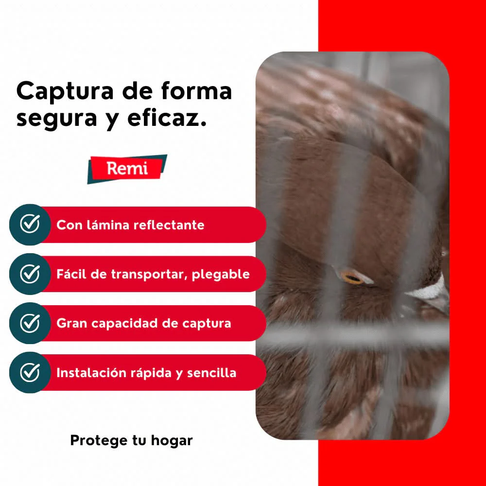 Jaula, Trampa para Palomas Plegable - Remi Hogar - Image 5