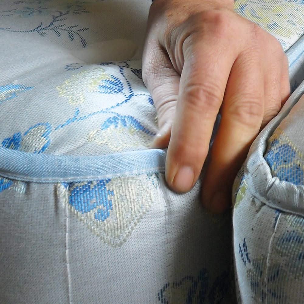 Vaporeta Cimex Eradicator Anti Chinches e Insectos - Polti - Image 5